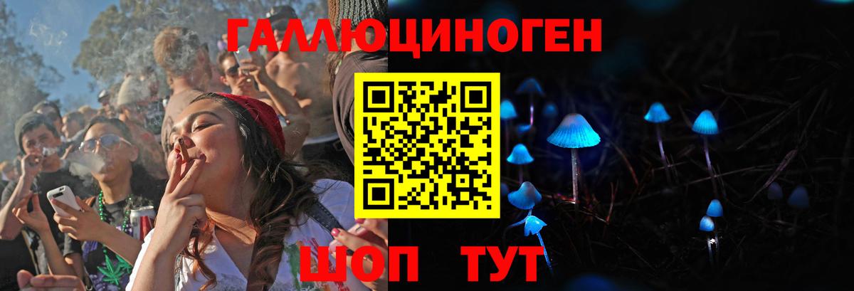Галлюциногенные грибы мицелий  где продают наркотики  Нерюнгри  Вход с VPN 